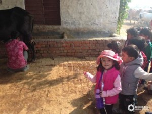 surajpur-farmhouse-trip10 (1)