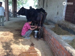 surajpur-farmhouse-trip12