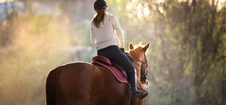 Life Lessons to Learn from Horse Riding